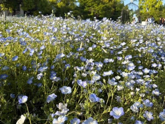 5月ご予約満了🙏♡