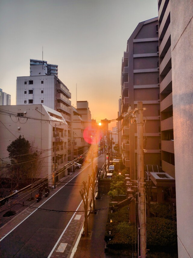 タソガレドキ