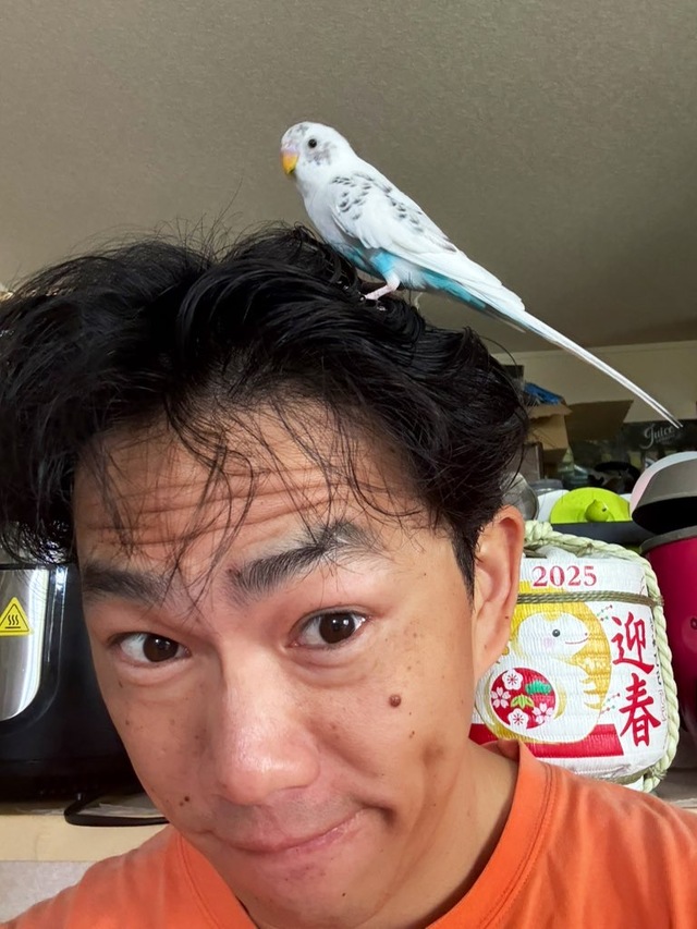 放鳥time🦜