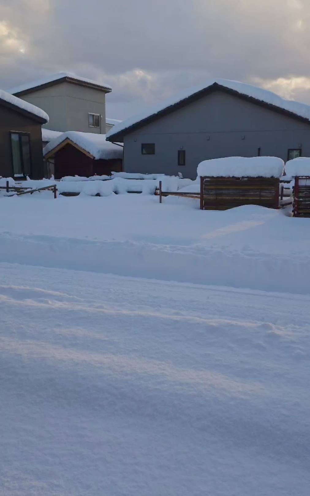 帰省中の部下から受けた相談「趣味の見つけ方」