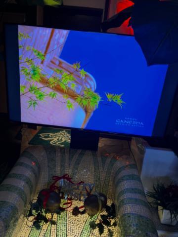 ご新規様Nたん??