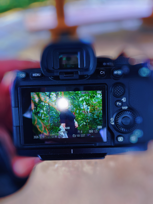 撮ってもらったの(  ᷇࿀ ᷆ )