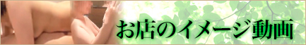IMAGE動画