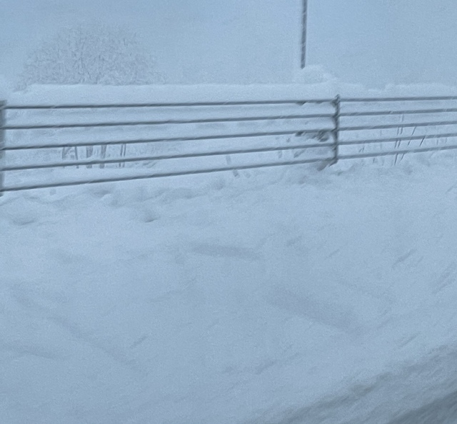 北陸は雪でした