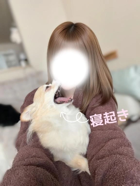 犬の乾燥機を買いました🐶