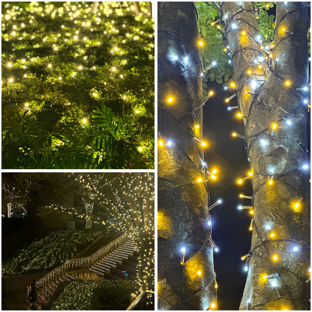『🎅🌃✨』