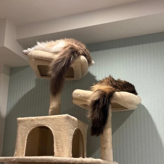 昨日の夜中にお問い合わせくれたおにいさん