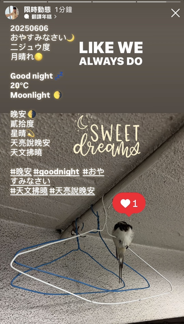 晚安😴