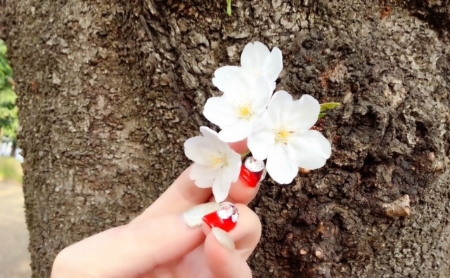 ♡～♡～♡