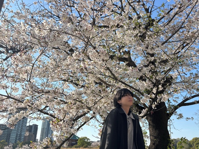 桜の樹の下には