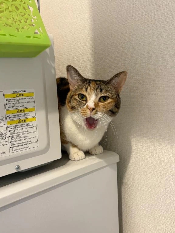 かくれんぼ♡
