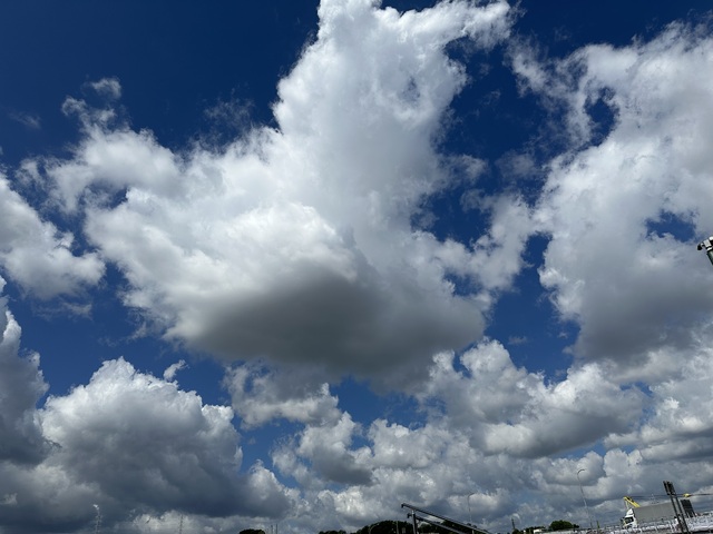 夏のデートプラン デス