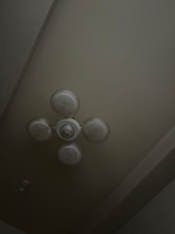 ブラッククローバー?? ??-