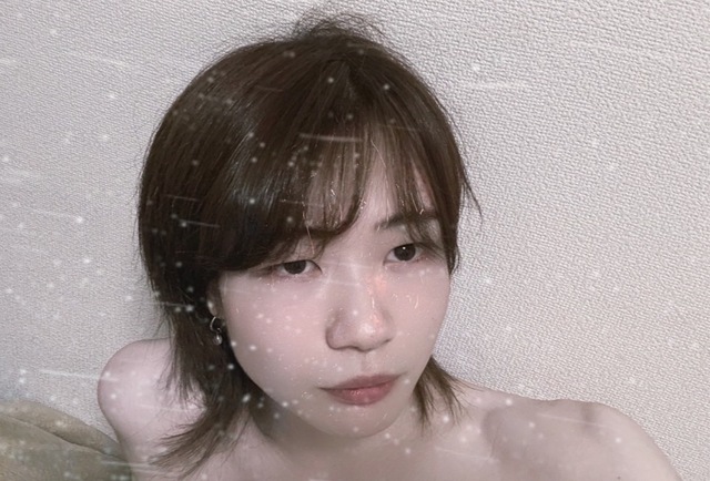 もし総理大臣になったら