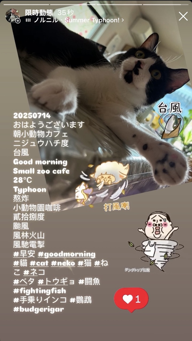 Typhoon 🌀 