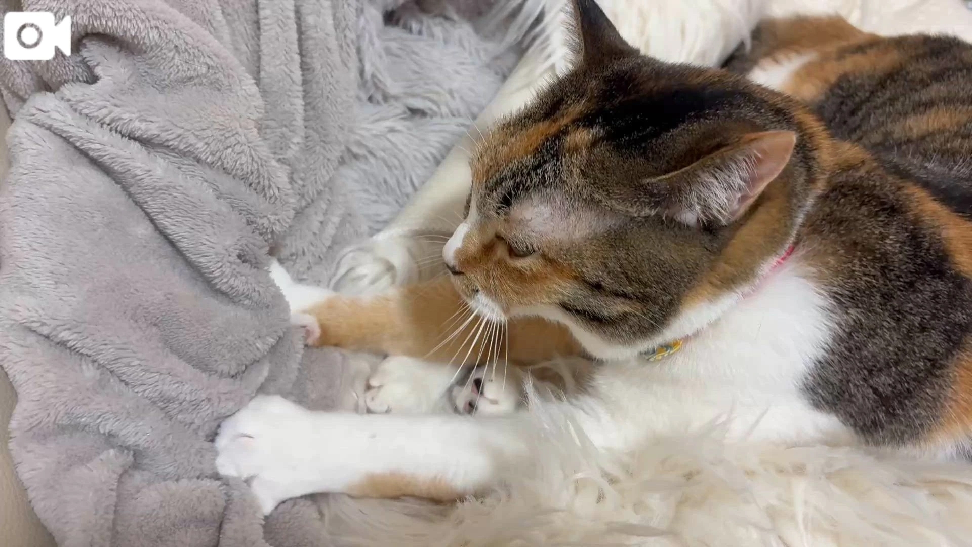 ふみふみ♡