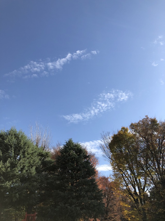 人を大事にする気持ち?‍❤️‍?