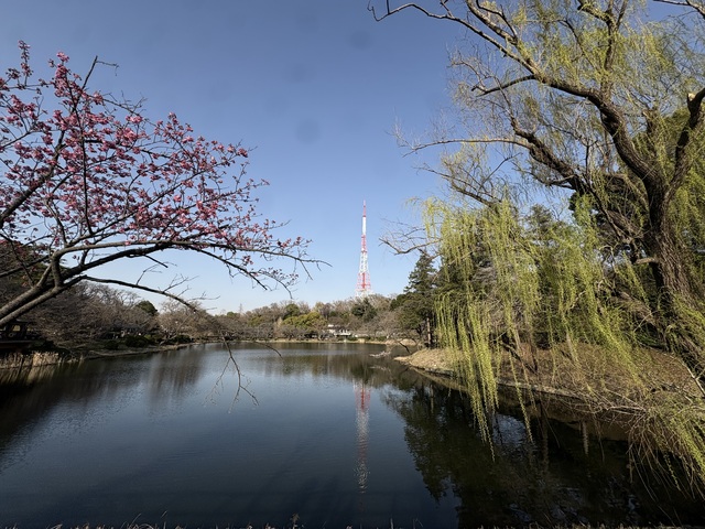 この春、変えたいこと