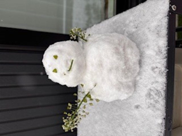 お久しぶりです⭐︎