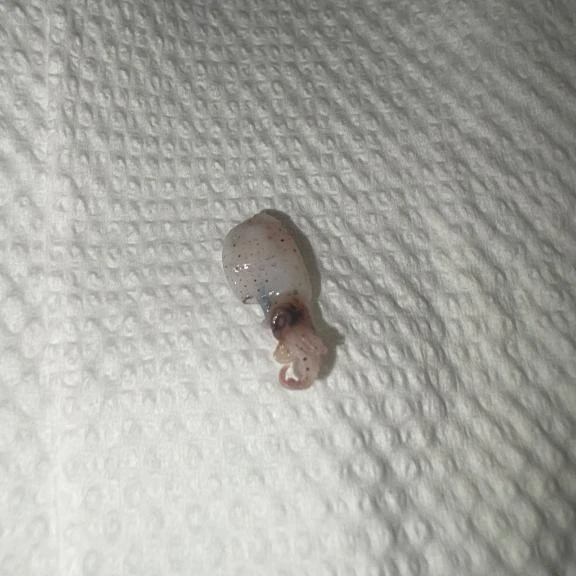 おやすみなさい⭐️