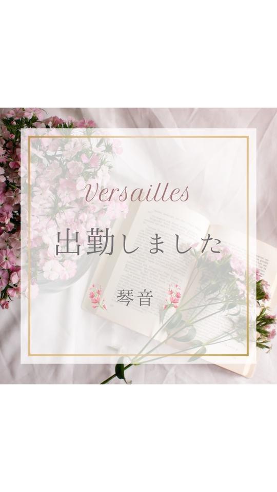 🎵琴音🎵　出勤しました