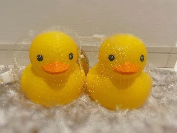 大型新人登場㊙️(特大)