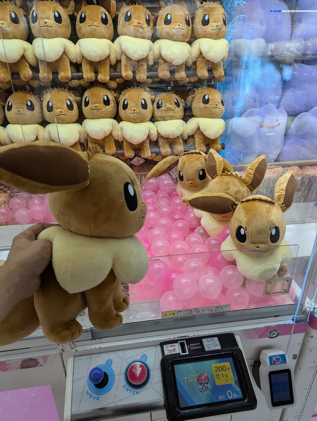 ✨️家宝✨️