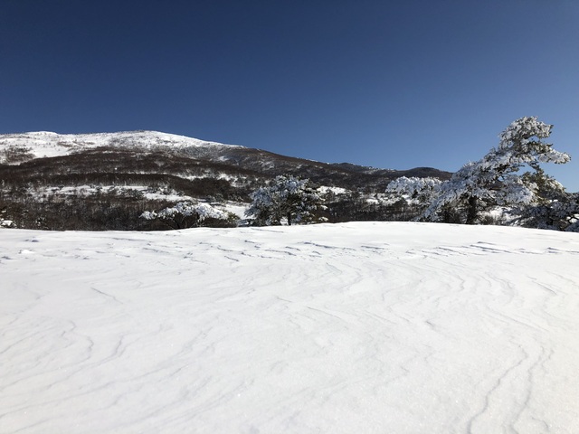 メリークリスマス🎄🩷