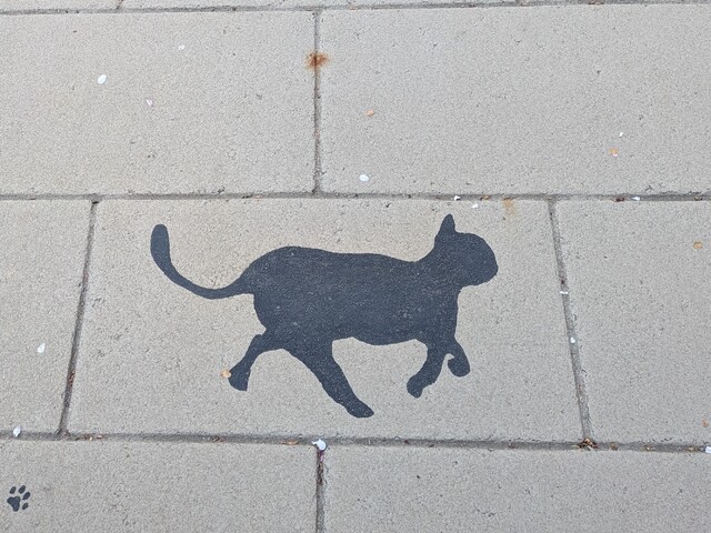 世界猫の日