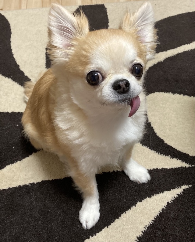 おっとぉ💦💦