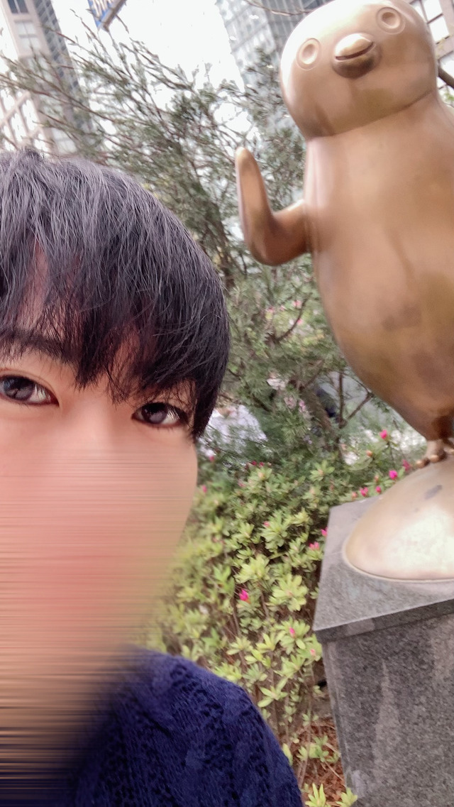 日常の癒し