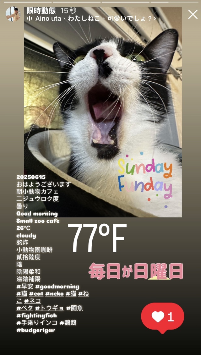 早安😇
