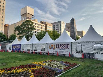 おはようございます☀️｡°