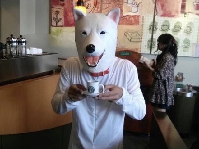 フォルダにある謎の1枚