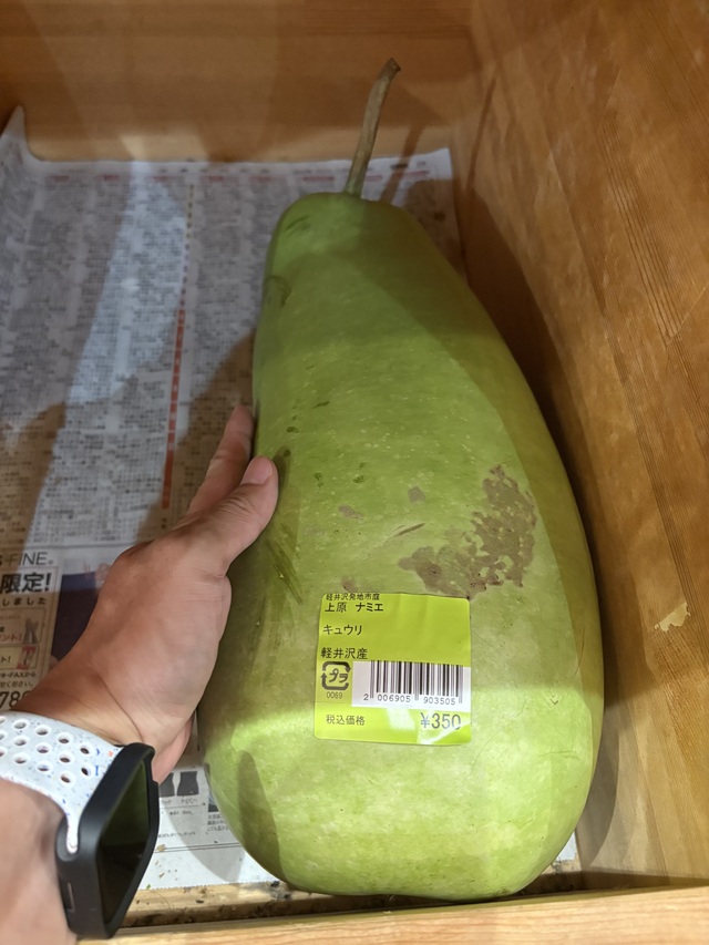 晚安 🌙 黃瓜🥒