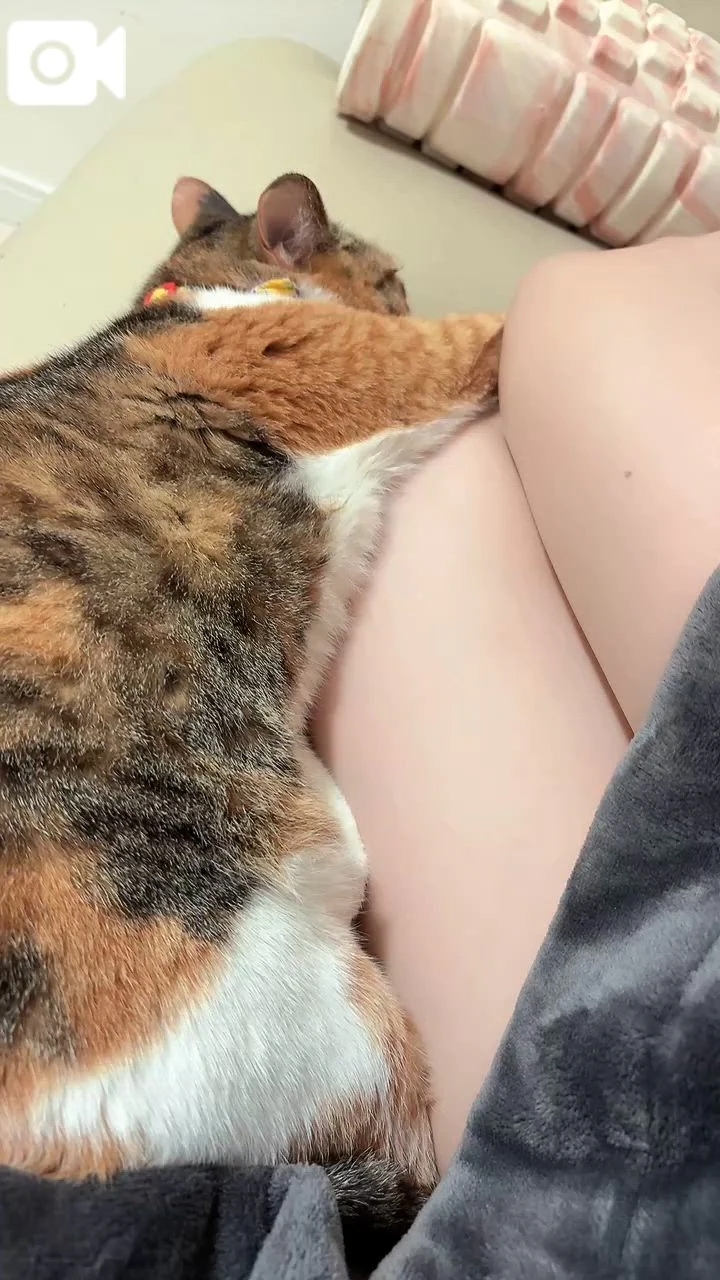 癒し♡