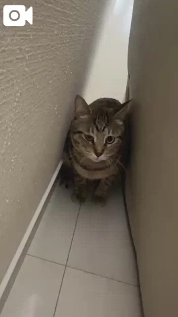 キョトン顔♡