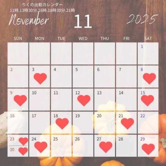 10月と11月の空き枠です！