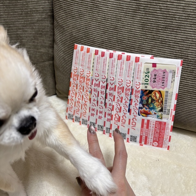 おはようございます⛅️