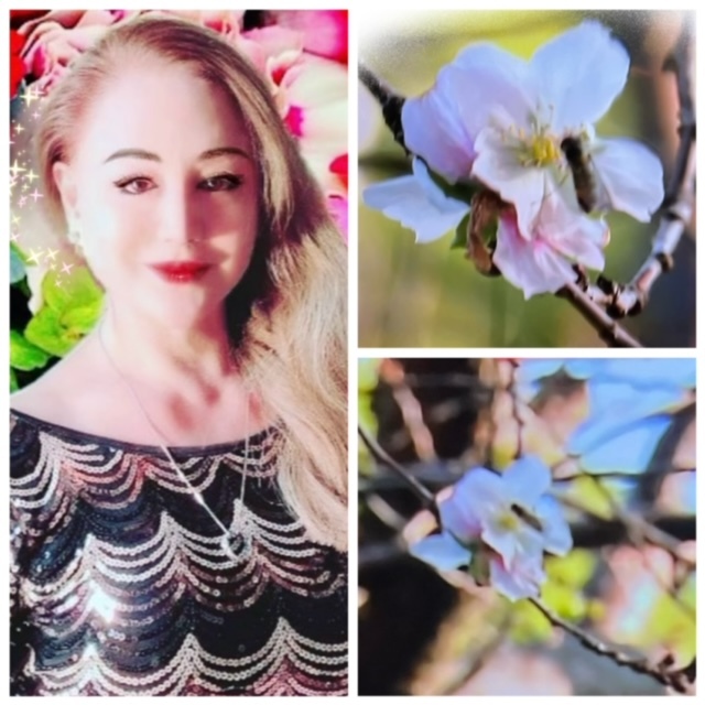 「＝🌸冬桜🌸＝」東京世田谷区．．