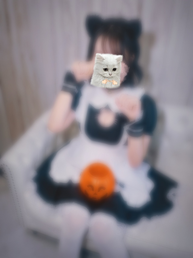 ねこちゃんですよ〜ᗢᘏᓗ