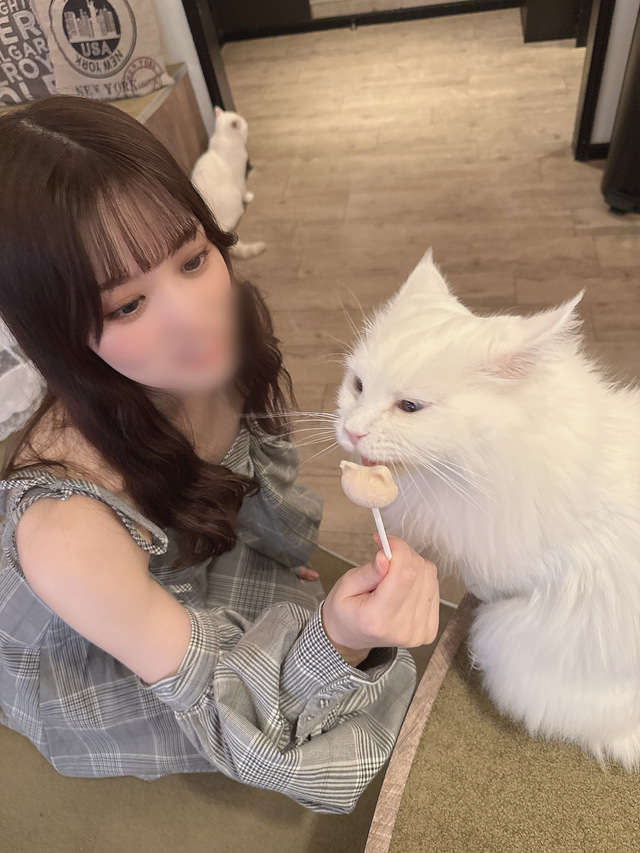 10月のご挨拶