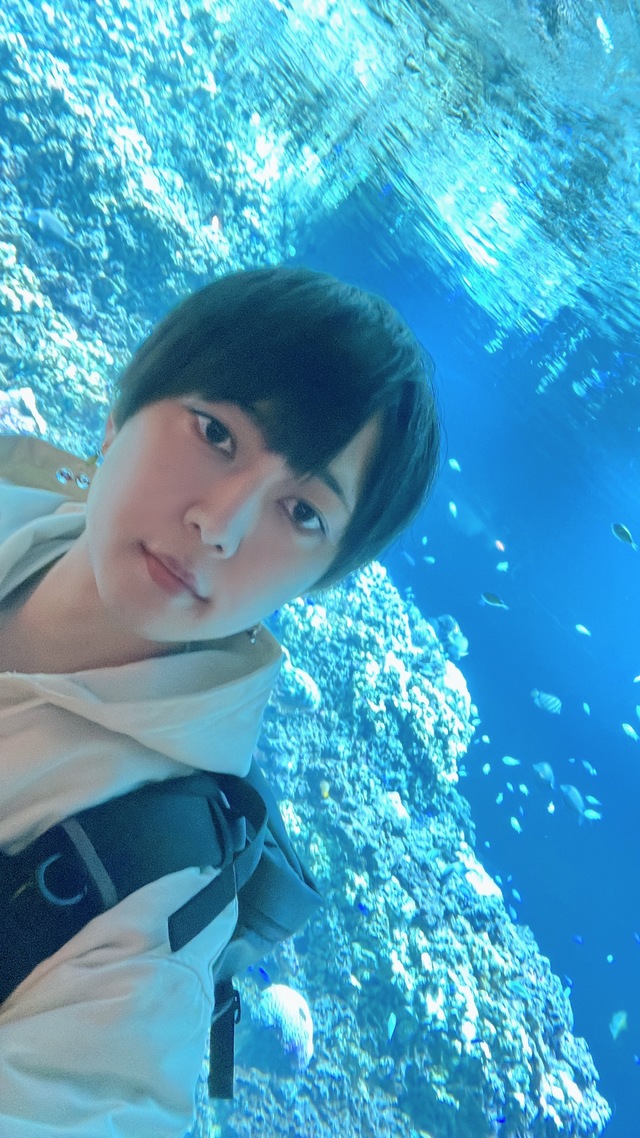 水族館に行ってきました🐬