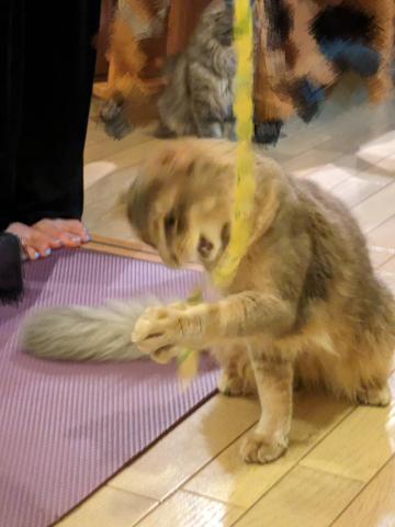 激しい遊びすぎる！！！