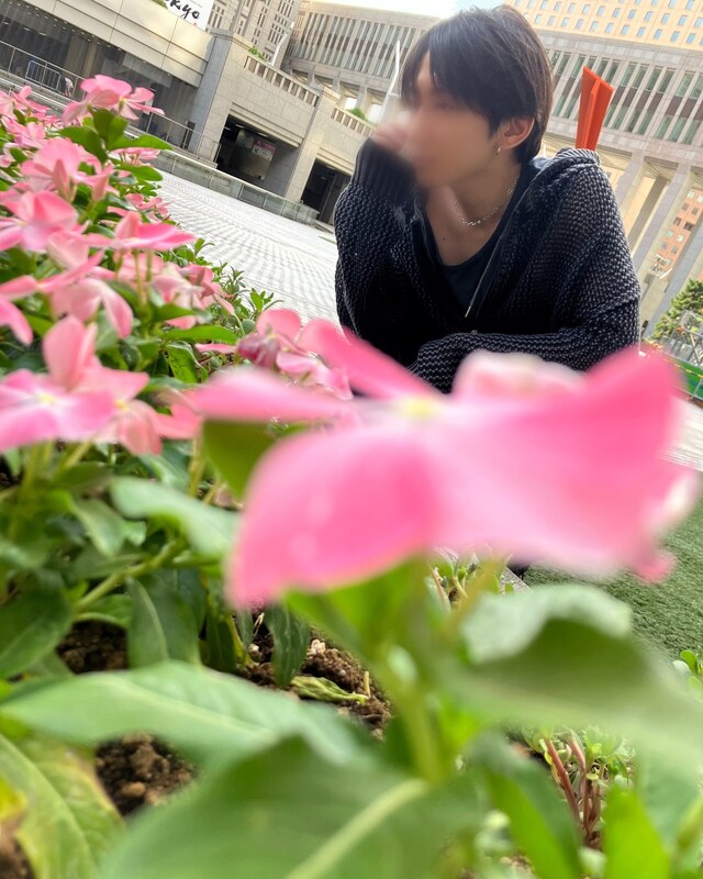 花にゆずりました🌸