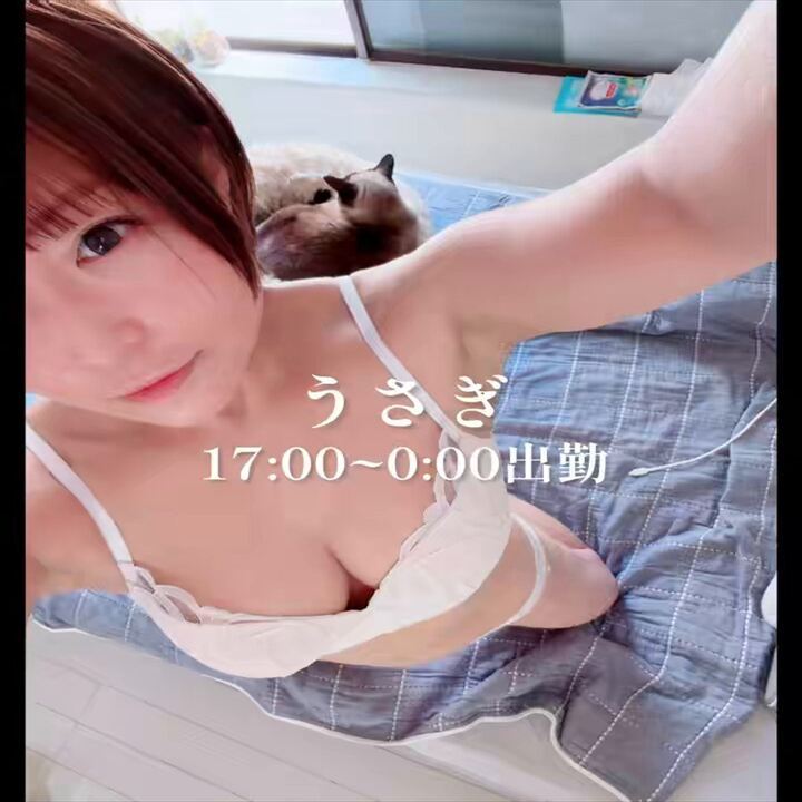 うさぎちゃん