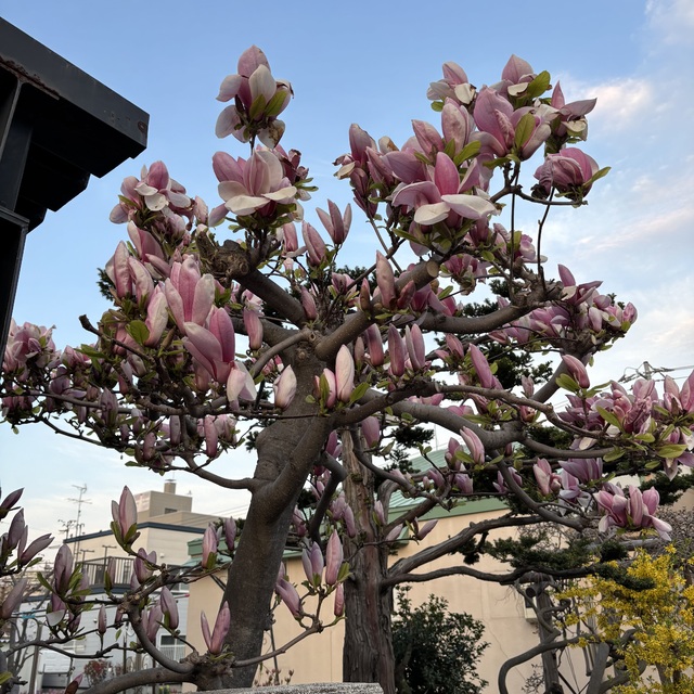 おはようございます☔️