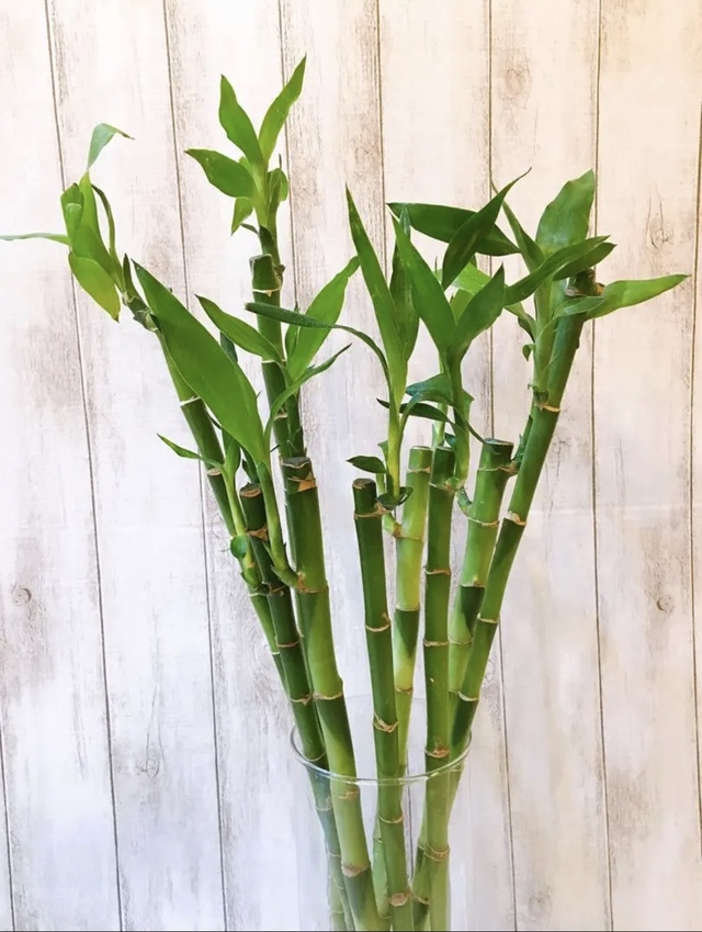 おはようございます☁️