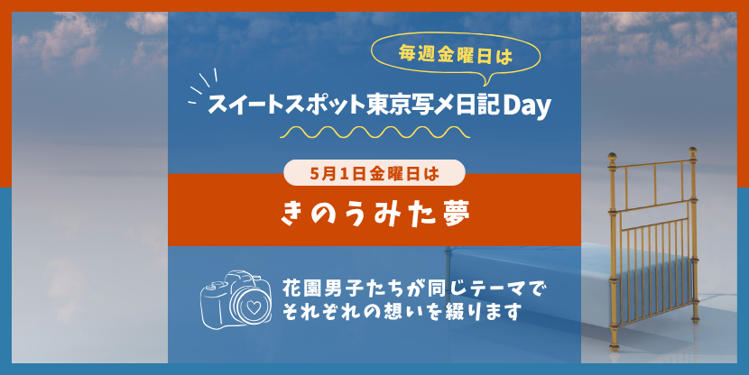 写メ日記