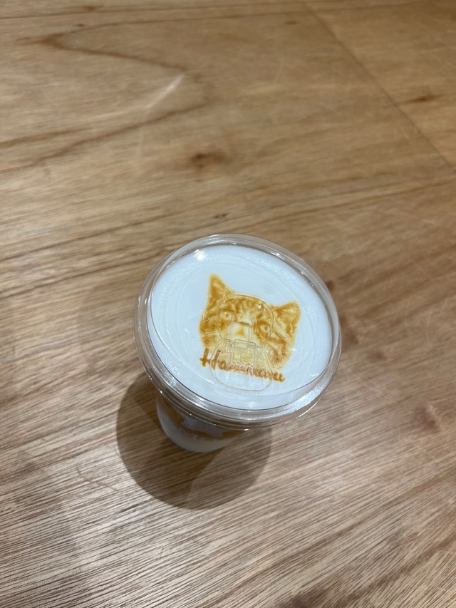 ㊗️デビューさせていただきます㊗️